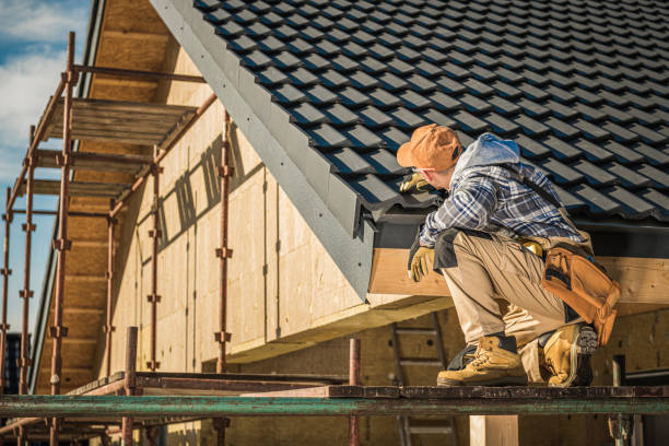 Best Roof Gutter Cleaning  in Pine Lakes, FL