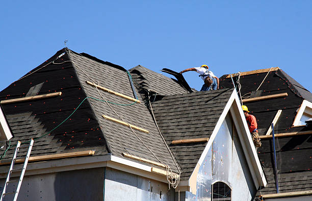 Roof Gutter Cleaning in Pine Lakes, FL